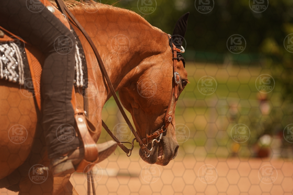 s_A9_03850.jpg